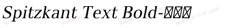 Spitzkant Text Bold字体转换